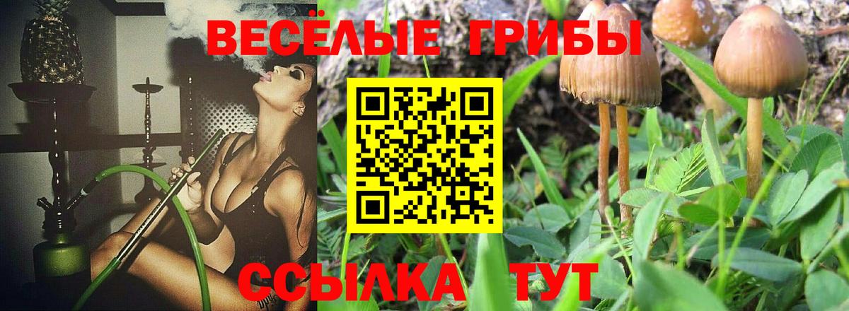 Псилоцибиновые грибы Magic Shrooms  Вход с VPN  Алушта 